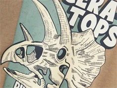 Name It weathered teak dinosaurus sweatshirt